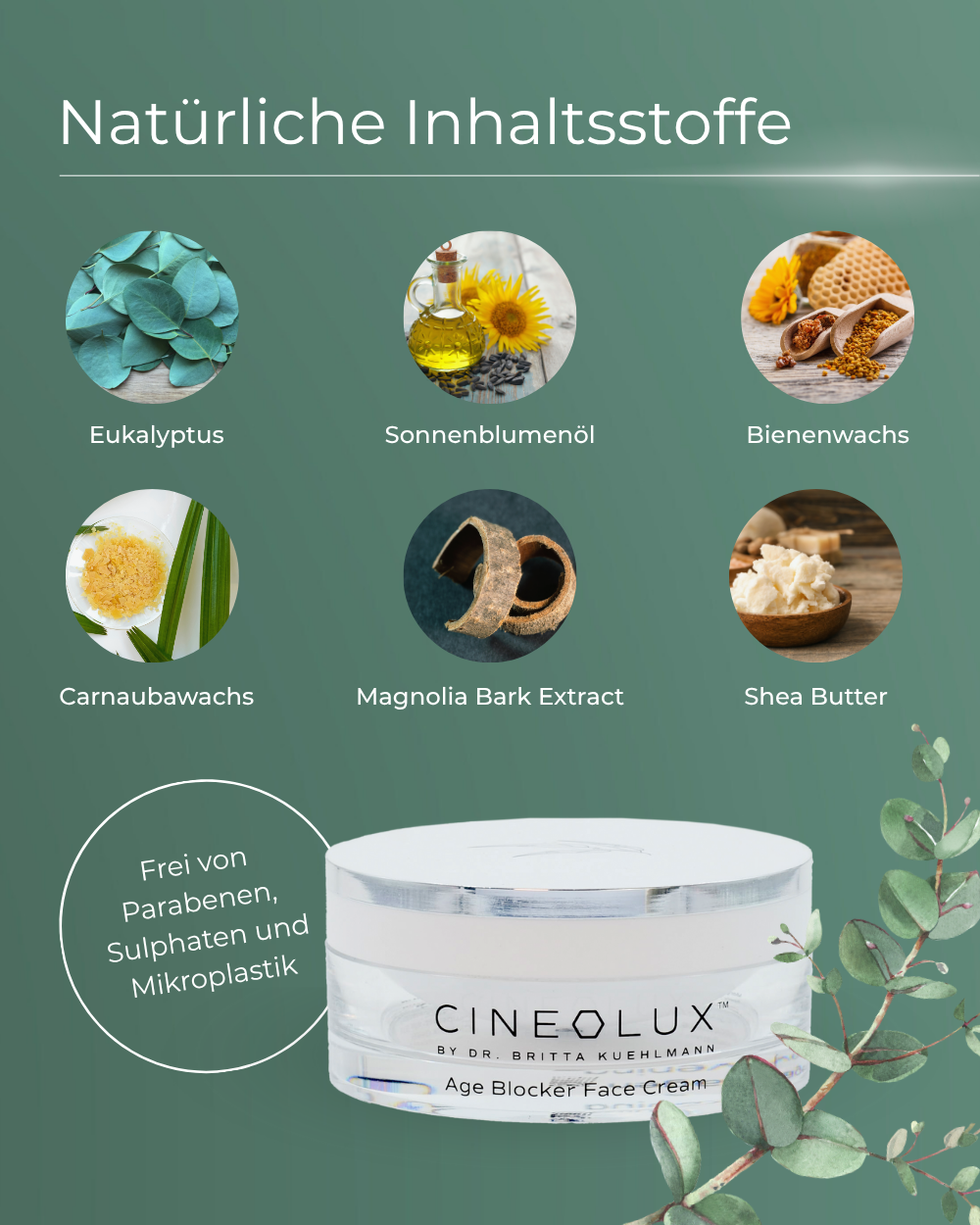 CINEOLUX Age Blocker Face Cream