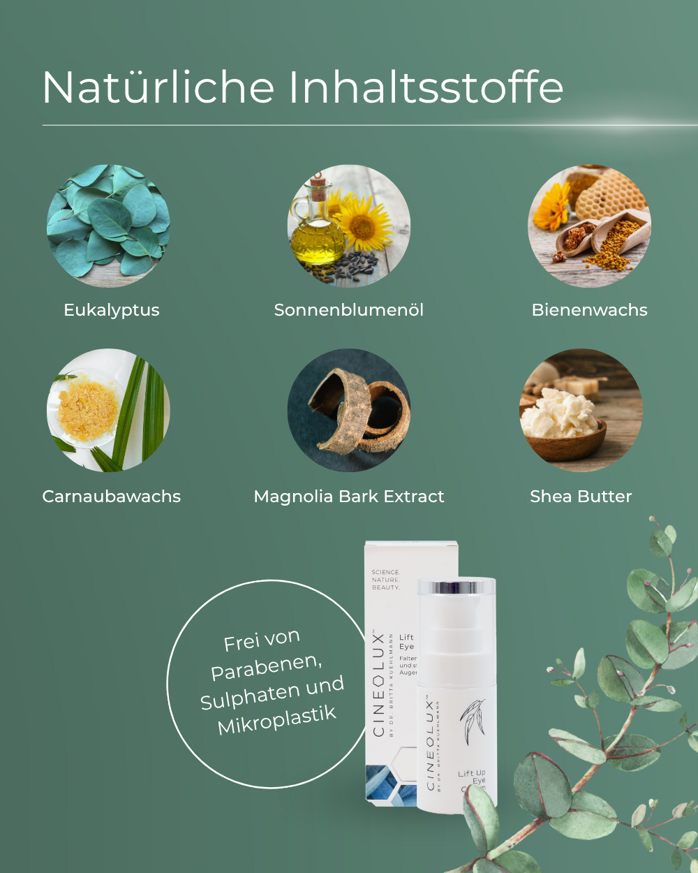 CINEOLUX Lift Up Eye Cream